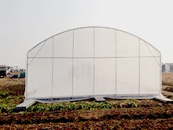 
Cheap Agriculture Multi-span Glass Greenhouse Hydroponic Greenhouse PC sheet sunshine other greenhouse 