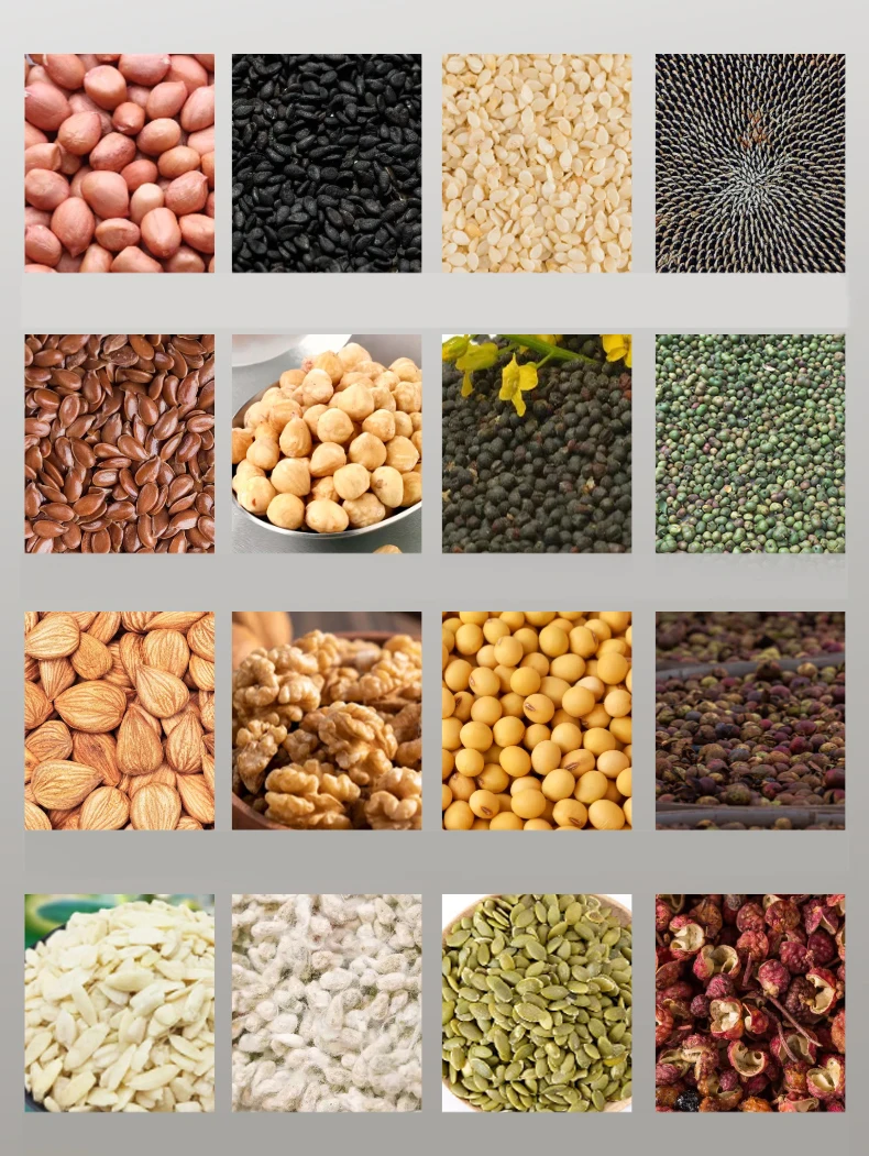 Hot sale olive Oil extraction machine oil pressing machine home oil extraction machine with high quality