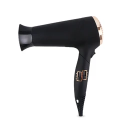 TAIYUN RCY200C High Speed DC Motor 2000W 2200W Ionic Professional Hair Dryer