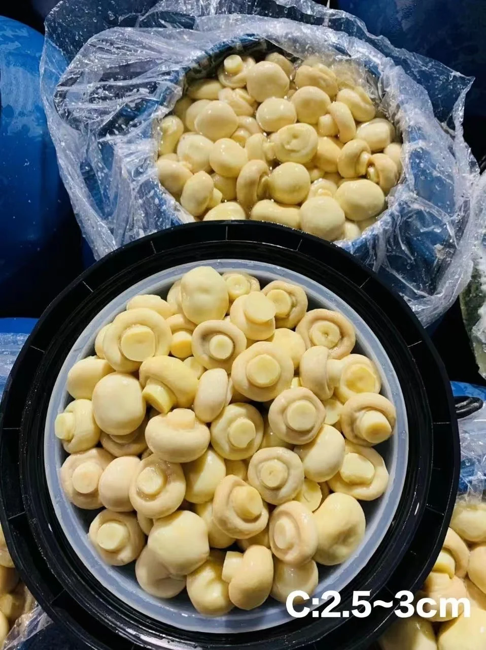 mushroom whole and slices in plastic drum