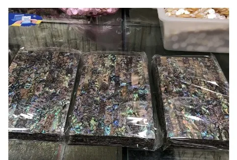 Factory wholesale New Zealand abalone shell pieces mother-of-pearl paper with adhesive backing for furniture floor decoration
