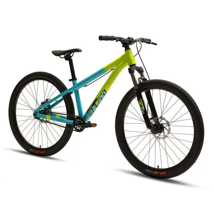 JOYKIE customize bmx alloy frame 11 Speed adult 29 inch fixie bicycle street freestyle race