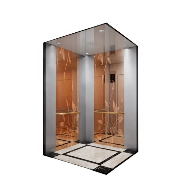 Foshan Gaoming Homefriend JFUJI 800kg 10 person Passenger Lift Low price Passenger elevator For Sale In China