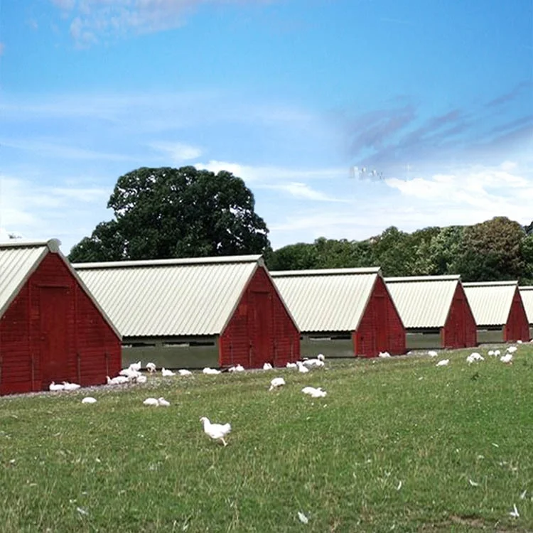 10000 куры умеренная цена крупномасштабный автоматический дизайн птицефабрики для цыплят