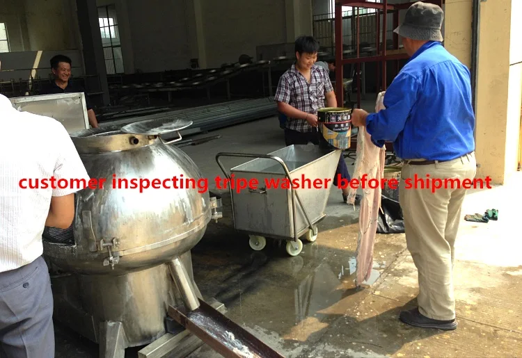 Abattoir Equipment Machine for Beef Cow Tripe Intestines Cleaning
