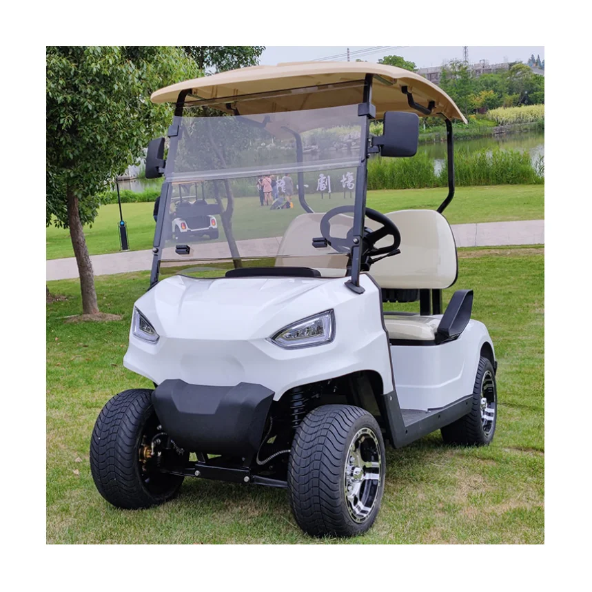 Customized Luxury Styles 2 4 6 Seats Neighbor Golf Cart Street Legal Community ODM Golf Carts