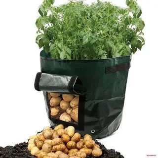 Wholesale Non-woven Nursery Garden Potato Tomato plant bag /garden planting bags/geotextile planting grow bags