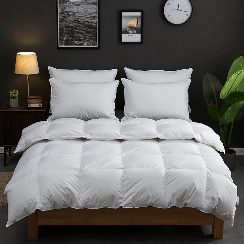 
All cotton down quilt Hotel warm 95 white duck down quilt core thickened autumn and winter gift quilt 