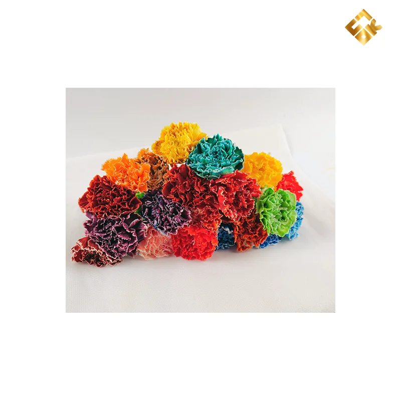 Floral color absorption Give the ordinary flowers a beautiful shell Flower dye
