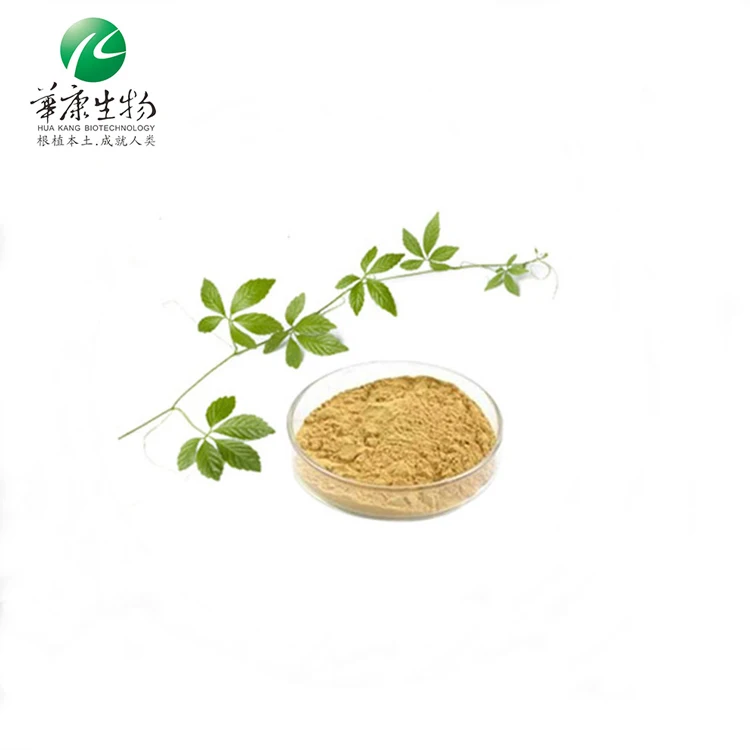 Supply Gynostemma Extract Powder Organic Fiveleaf Gynostemma Herb Extract