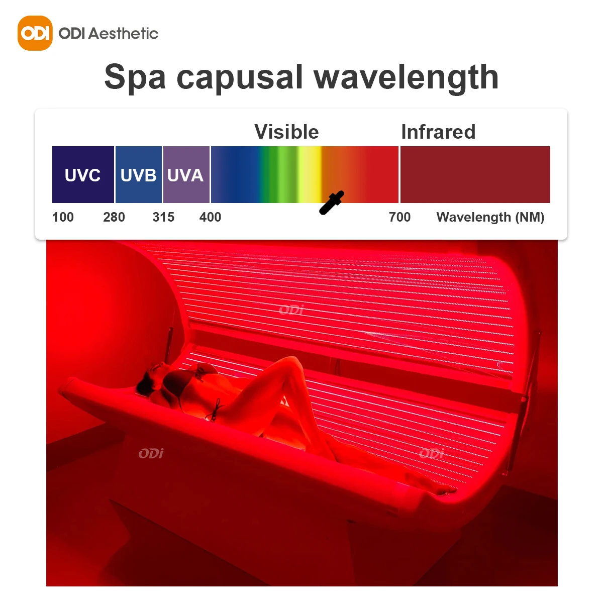 Led Light Therapy Spa Equipment Spa Capsule UV And Collagen Red /Blue Light Collagen Solarium Tanning Bed