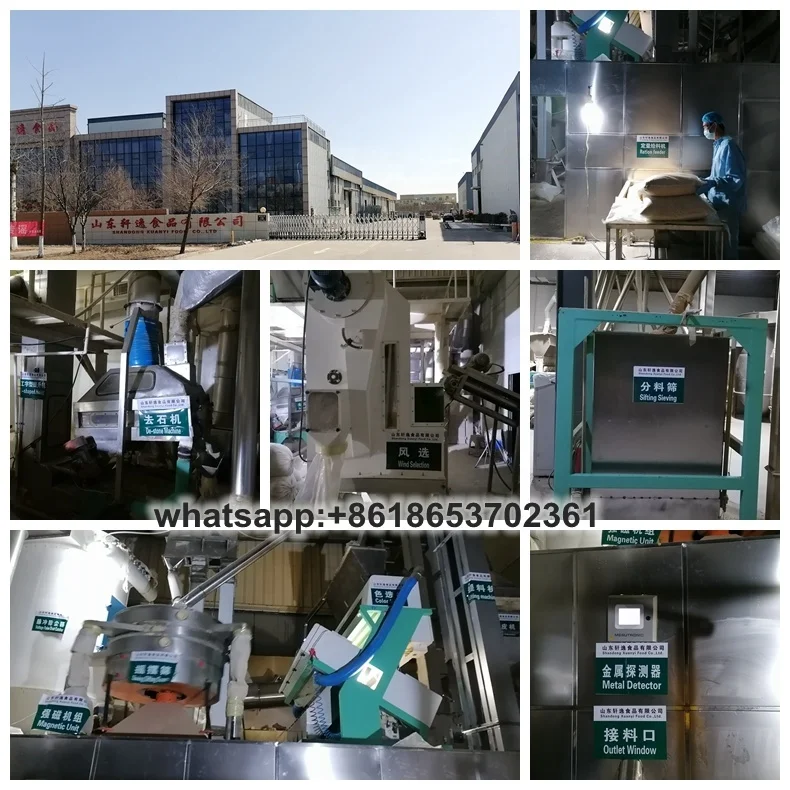 Dehydrated Onion Granules (8-16 16-26 26-40 40-80 Mesh)