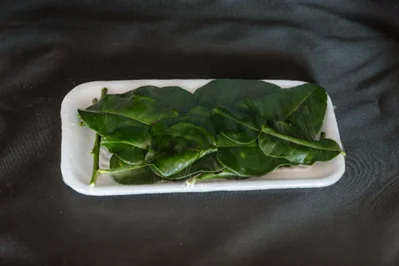 Thai Fruits and vegetables For Export Cheap Price And Quick Response With High Quality From Thailand