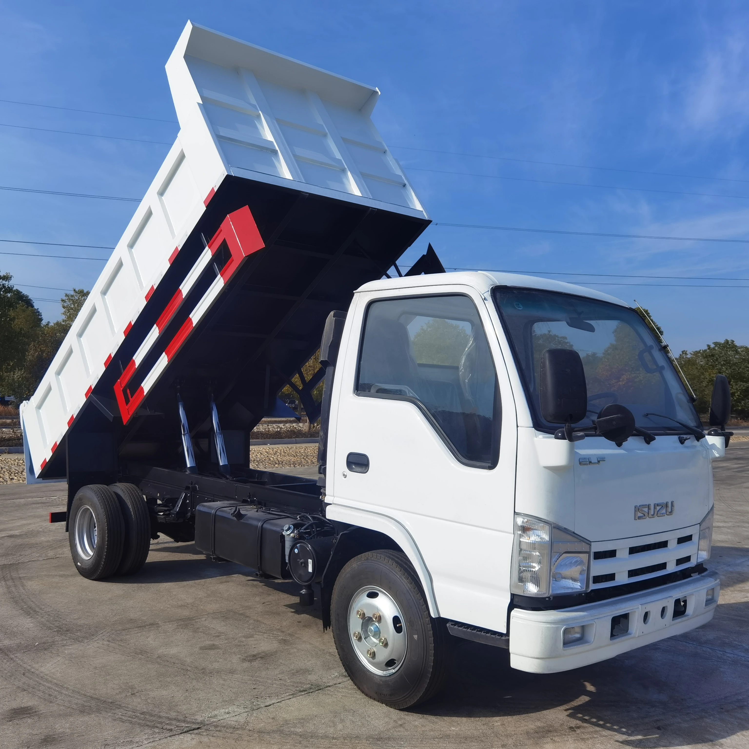 2024 Low Factory Price 4x2 4x4 1-10 Tons Isuzu Light Van Cargo Dump Isuzu Trucks