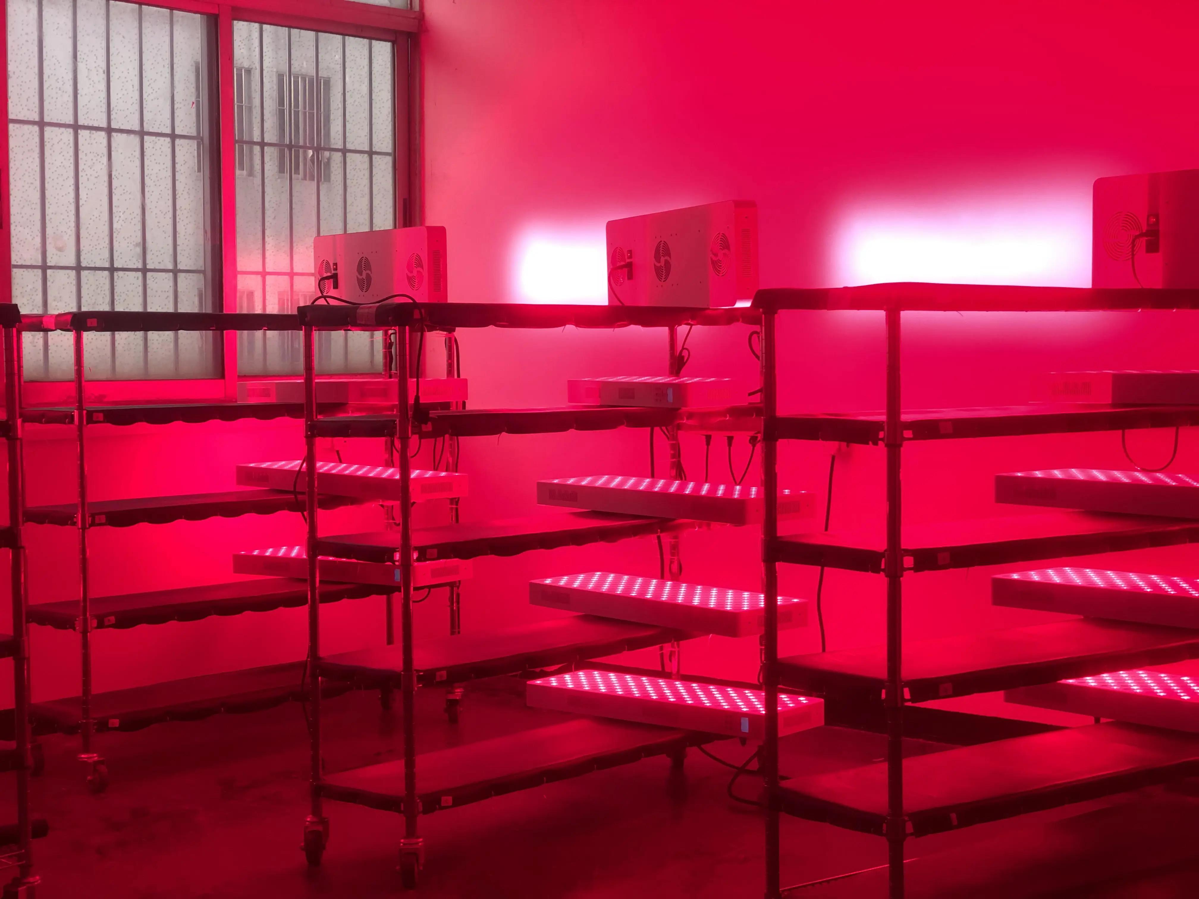 PDT Equipment  LED Red Infrared Lamp Light Therapy Panels Body Care Muscle Recovery Light Exercise Rehabilitation