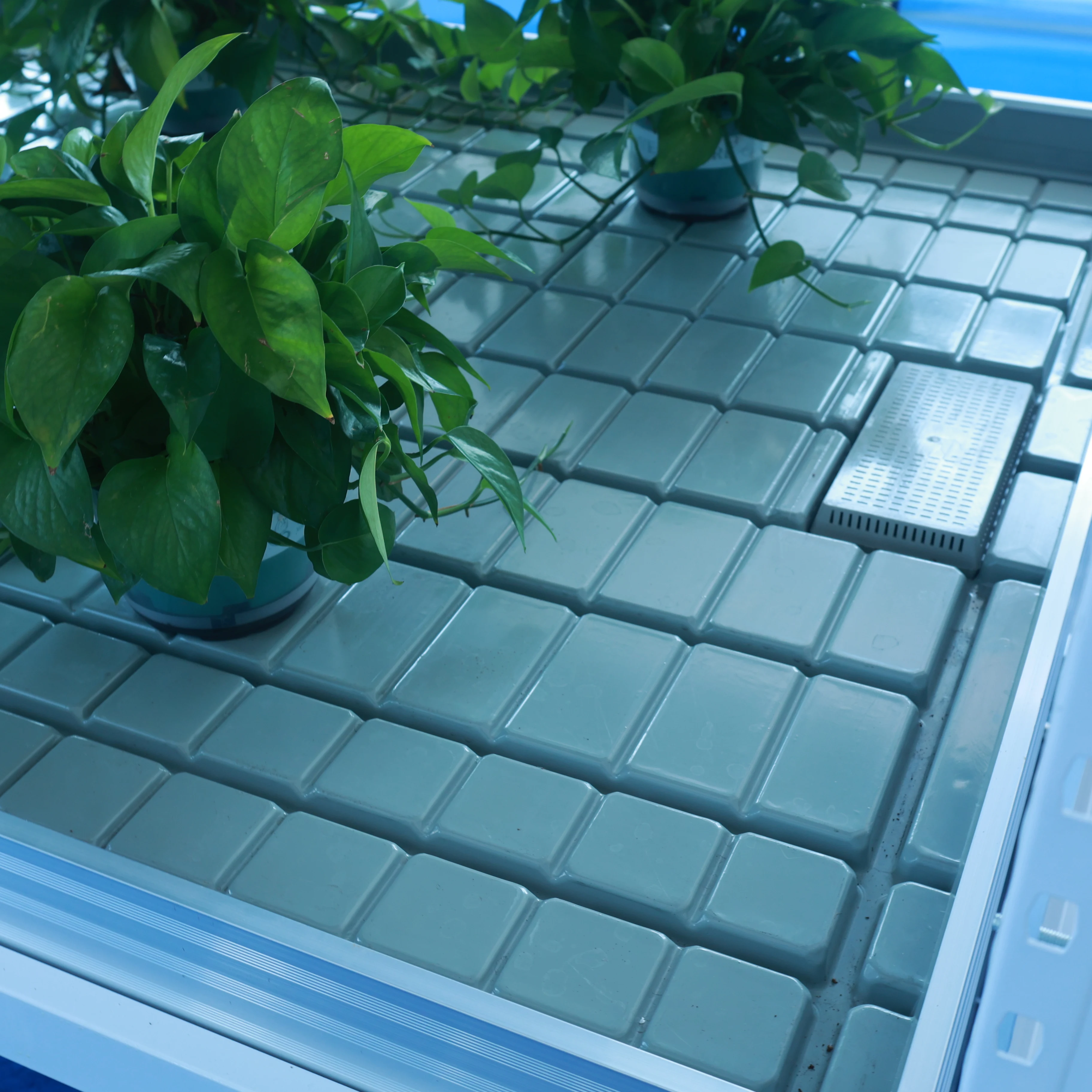 greenhouse nursery seedbed grow bed grow table grow rack rolling benches