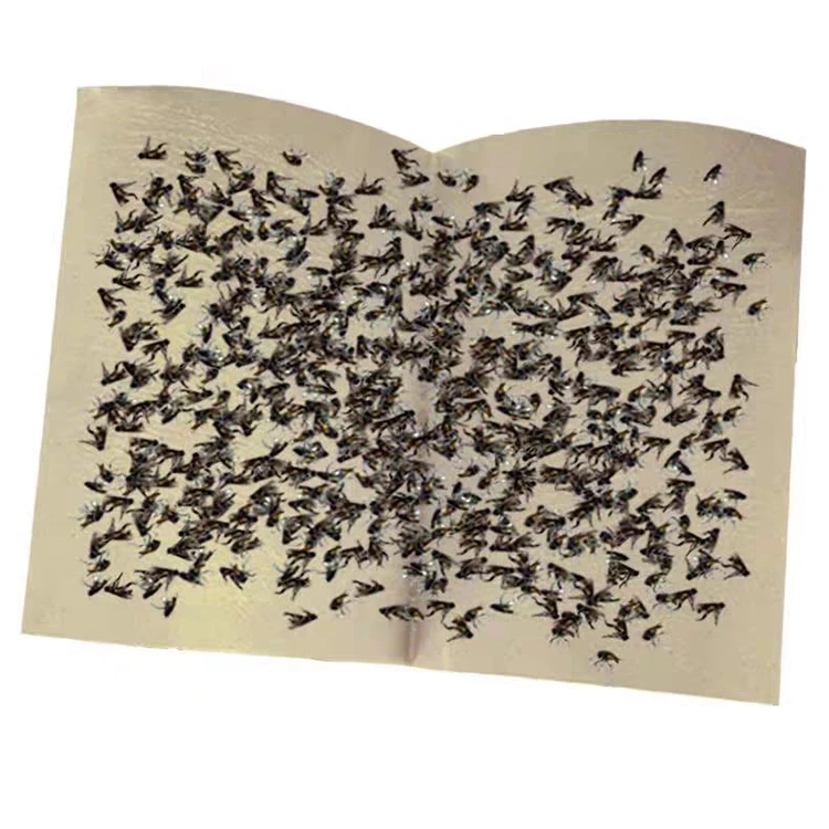 Pest Control Equipment Fly Catcher Paper Sticky Trap Hanging Glue Board Fly Trap