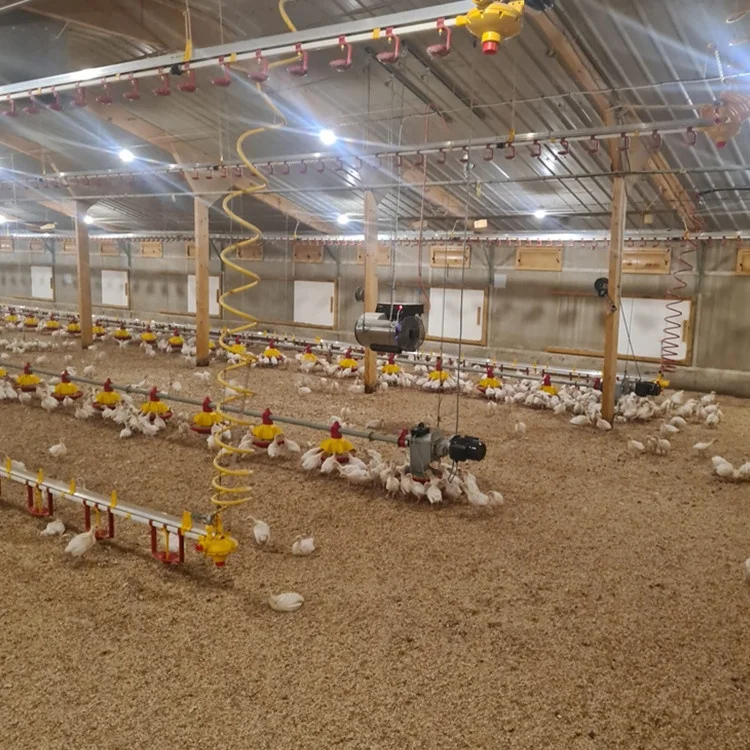 EAC Certificate Automatic Chicken Poultry Heater for Russia