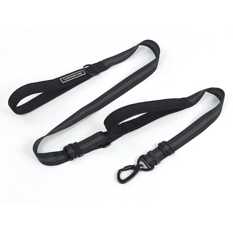 Fashion Pet Supplies Designers Luxury Oem Custom Dog Leash Set Reflective Neoprene Double Handle Dog Pet Leash