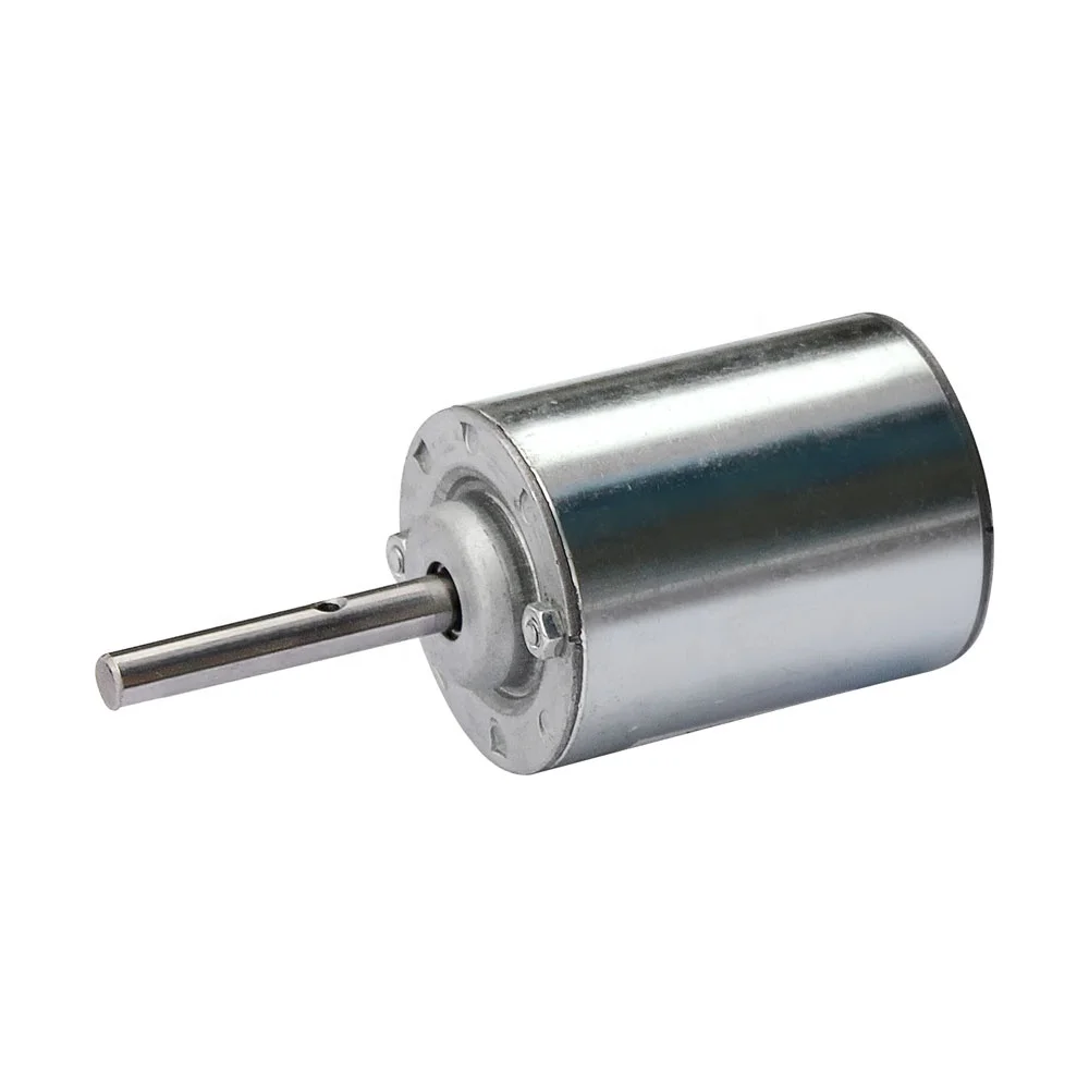 63ZY ( 63mm OD, Open Frame ) 12V, 220V 100W PM Brushed DC Motor