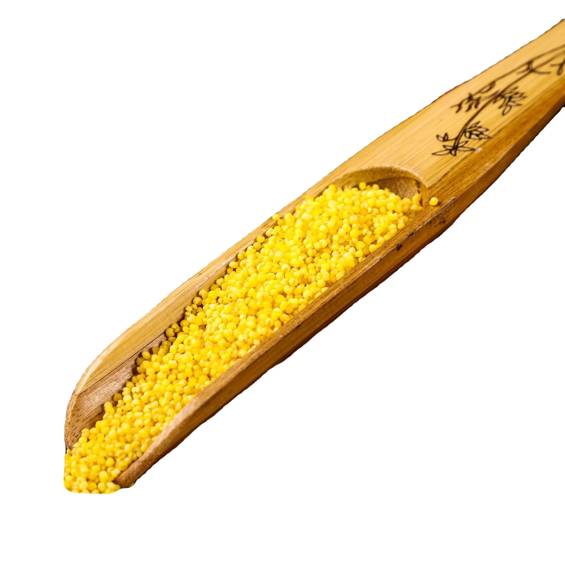 China Manufacturer New Product 500g Yellow Gluten-Free Grain Millet