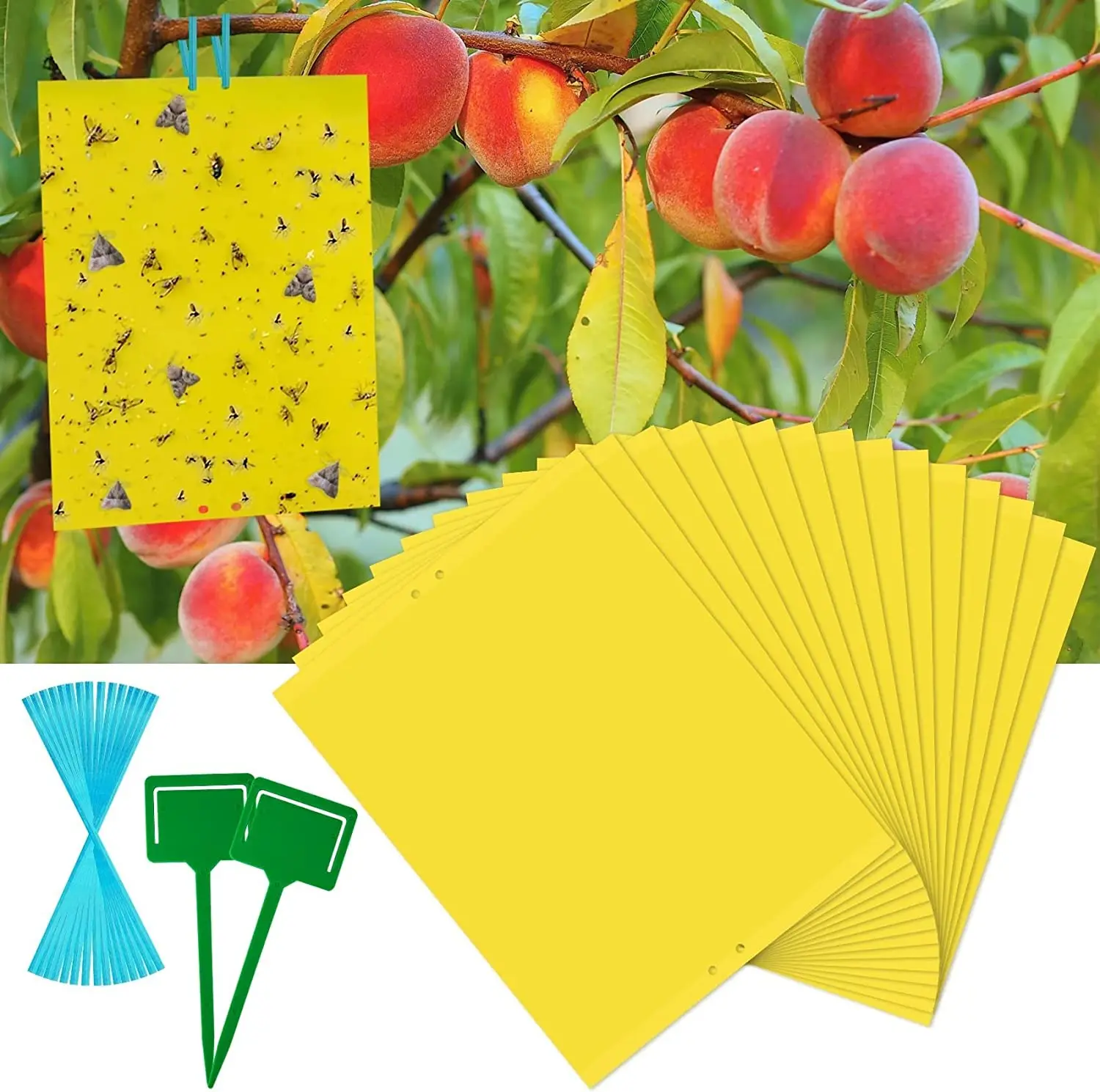 Dual-Sided Yellow Sticky Gnats Glue Paper Board Flying Insect Traps for Whiteflies Aphids Outdoor