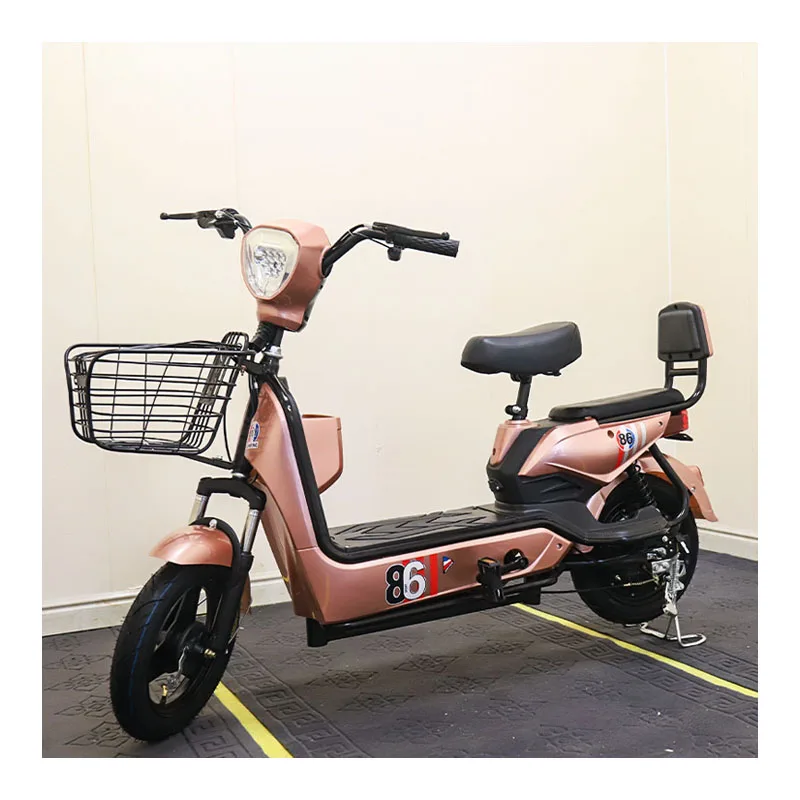 Adults cargo bike electric bikes for men electric