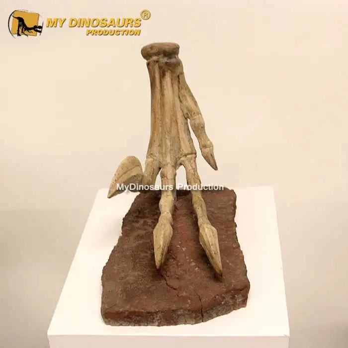 Z My Dino DS-043 торговый центр украшения скелет динозавра стеклопластиковый