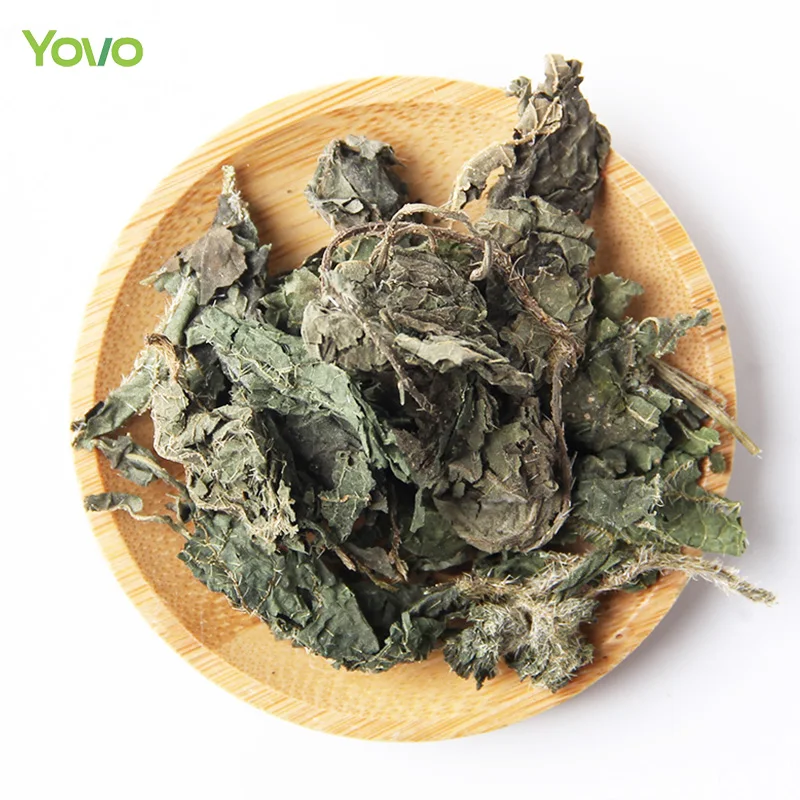 Bulk Wholesale Chinese Herbal Tea 100% Natural Dried Nettle Leaf Cut Green Nettle Leaves Tea UrticafissaE. Pritz.