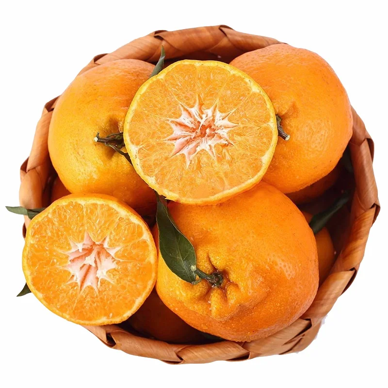 Good price chinese boutique fruit orange dekopon