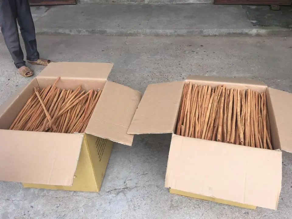 SUPPLIERS OF long CASSIA STICK ROLL 60-70% BEST PRICE IN VIETNAM NEW CROP