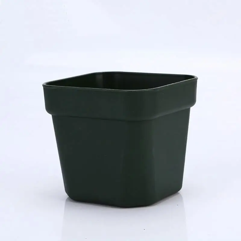 
Special square small color fleshy black plant flowers nursery plastic pots 