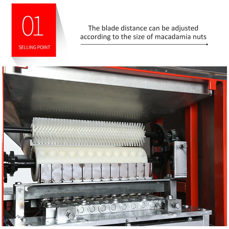 NEWEEK Australia 200kg/h farm/home use hawaii nut opener macadamia nuts processing machine macadamia nut cracker machine