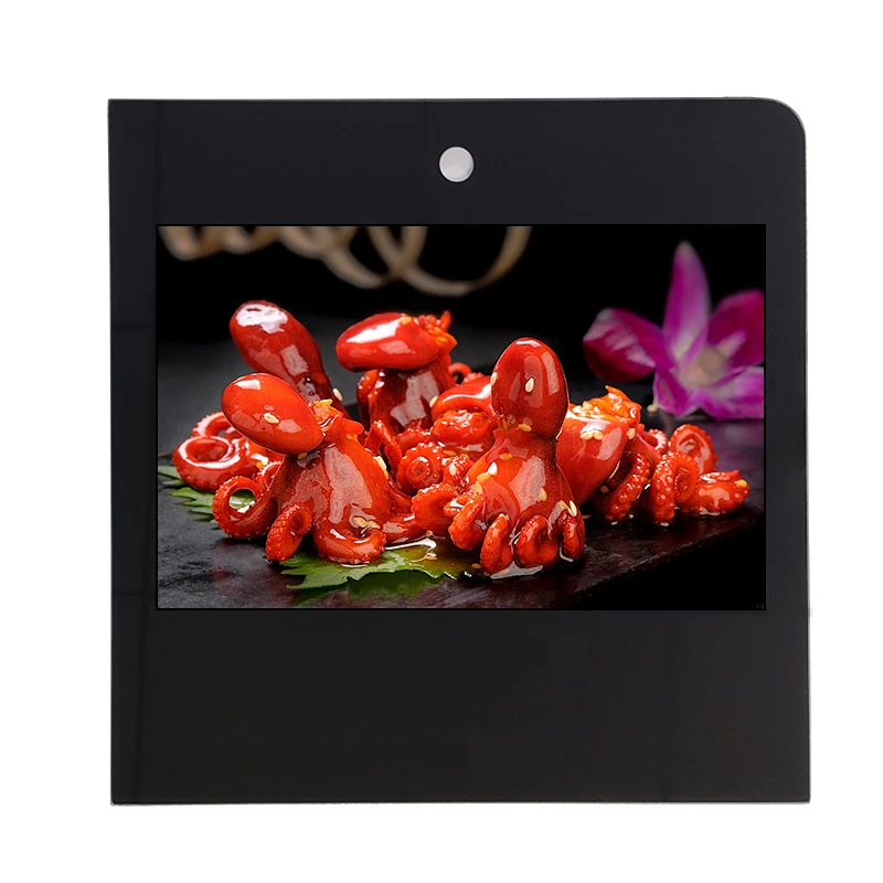 10,1-дюймовый 800 по 1280 Разрешение MIPI порт для планшетов ЖК-дисплей