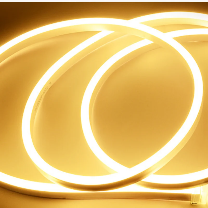 Factory customized 6Watt LED Neon Light Strips Silicone Flexible Decoration Lamp with PVC Body IP65 for Landscape Application