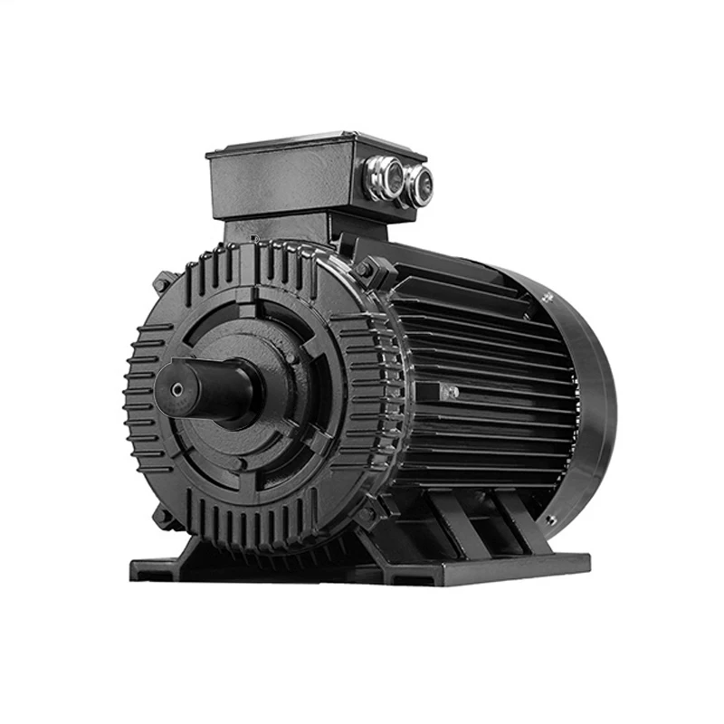 IEC60034/IE1/IE2/IE3/IE4 PMSM Permanent Magnet 10KW 30KW 40KW AC Synchronous Energy Efficient Motor