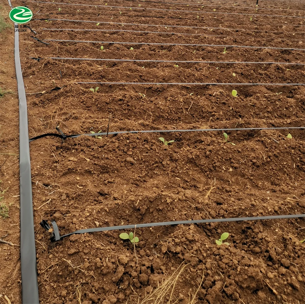 Industrial underground drip irrigation pipe for south africa drip irrigation south africa