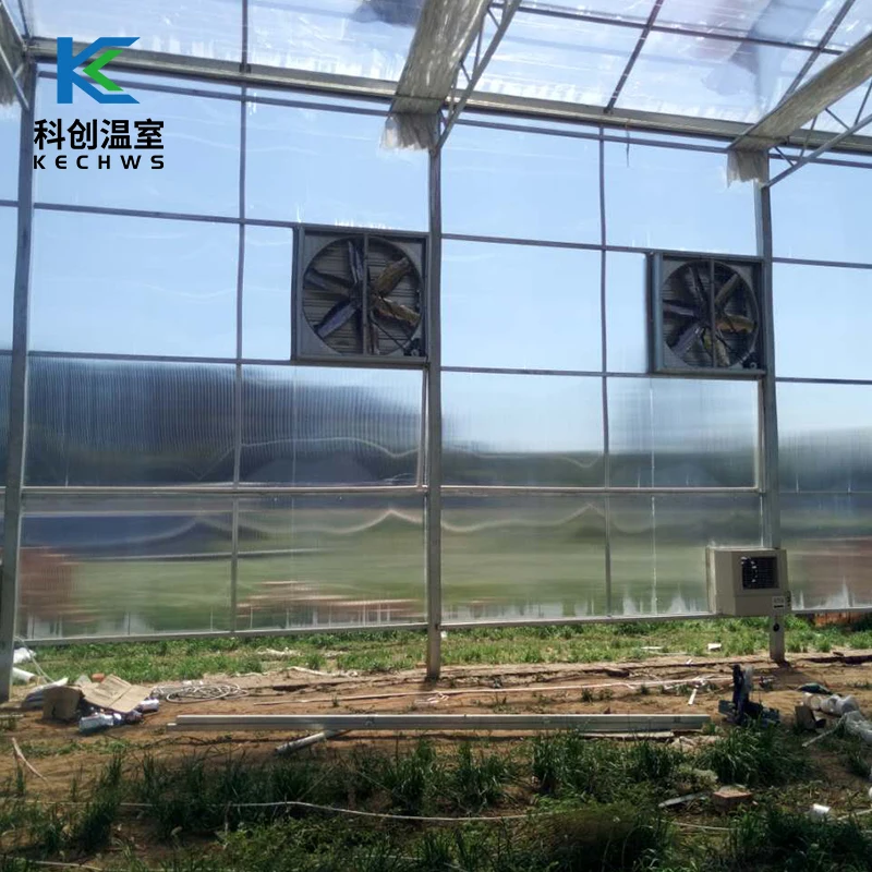 High Quality Low Price Film Energy Saving Solar Greenhouse