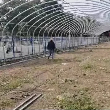 Economic Tunnel Plastic Greenhouse for Vegetable Greenhouse Tube GI pipe