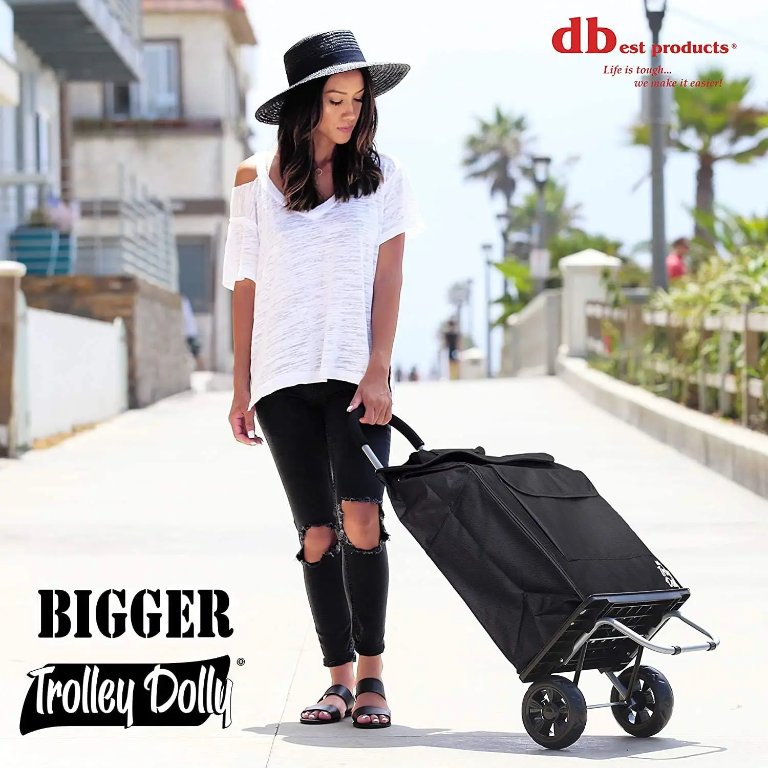Folding Heavy Duty Shopping Groceries Cart Rolling Utility Hand Truck Trolley Dolly Bag for Shopping Camping Carrier