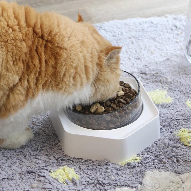 PetnessGo Cat Bowl Factory Direct Sale Pet Feeding Bowl, Dog Cat Double Bowl