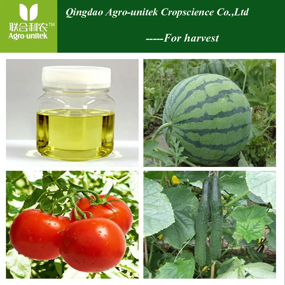 Agrochemical Manufacturer Ethephon 40%SL Plant Growth Regulator