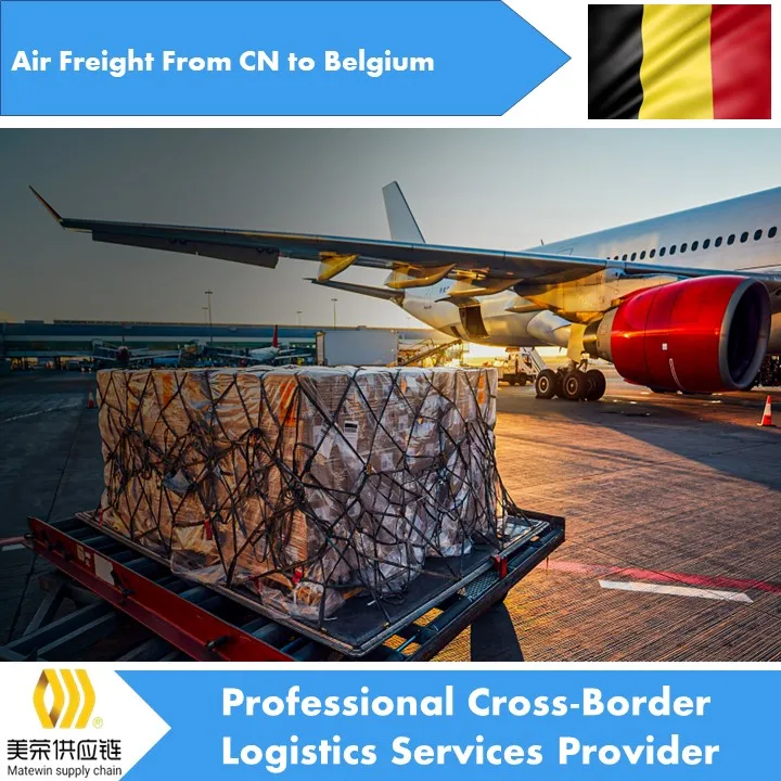 Freight international by sea from china to Belgium with warehousing service best selling product in China