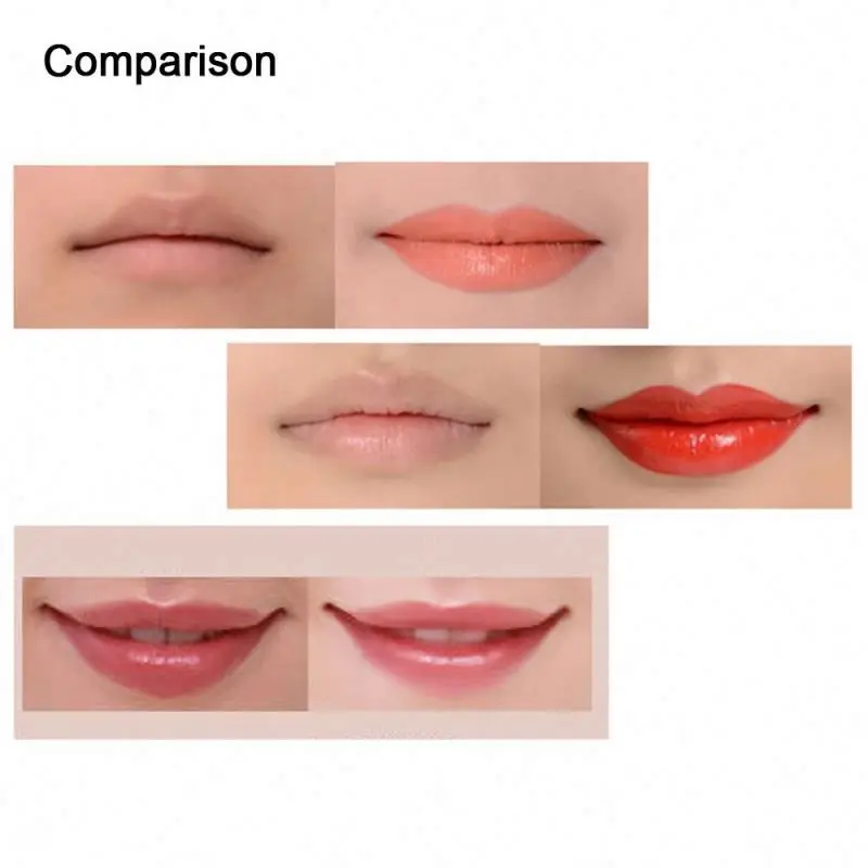 Mytingbeauty Makeup Manufacturers 15 Color Lip Gloss Private Label Makeup Plate Lip Stick Lipstick Waterproof Wholesale