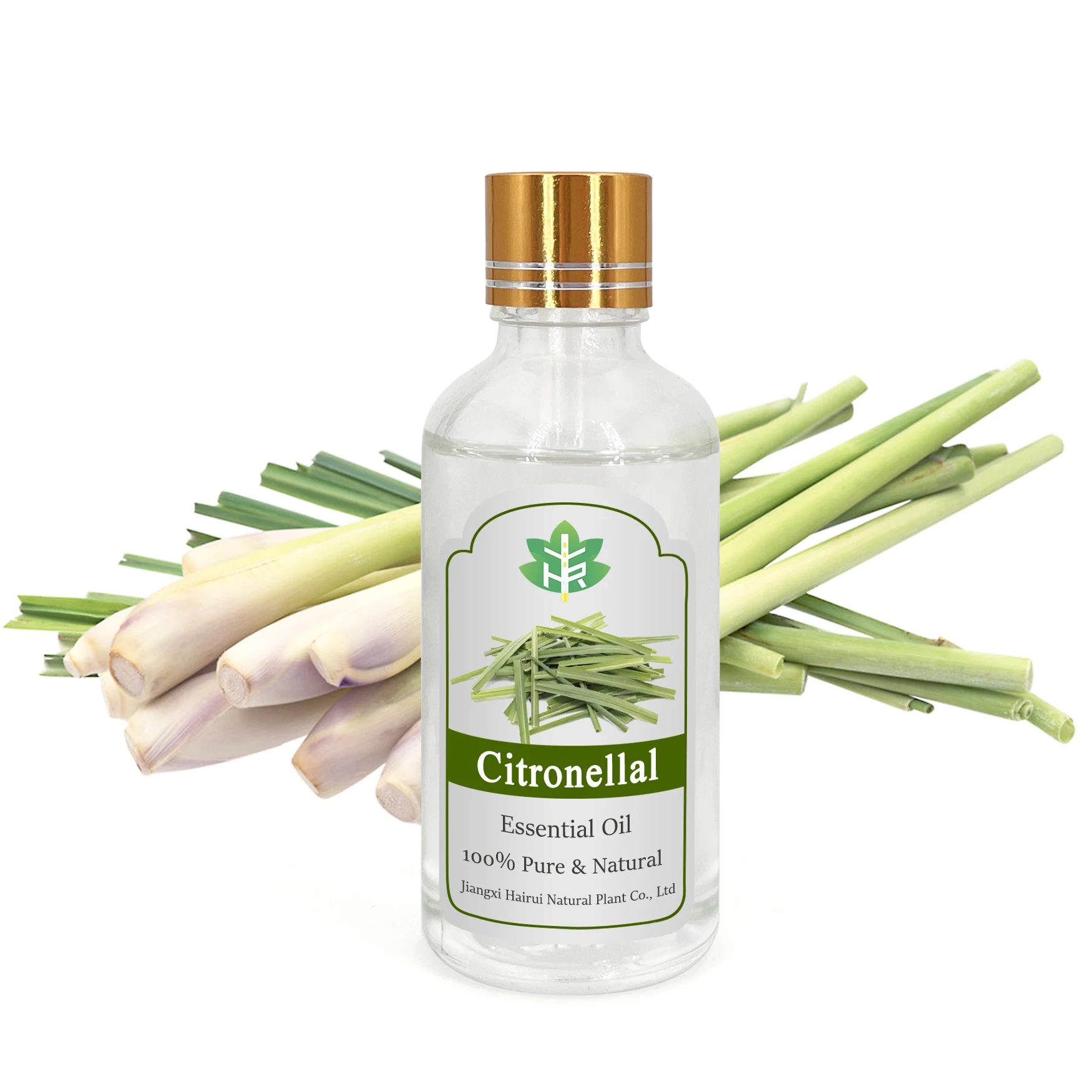 Bulk Price CAS 106-23-0 Citronellal Free Sample Pure Natural Citronellal