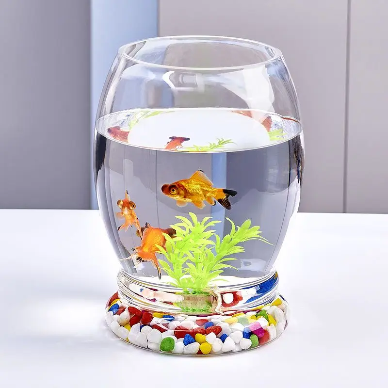 Manufacturer Customized Large 20 gl Fish Holding Tank Aquarium For Cube Fish Glass Tank