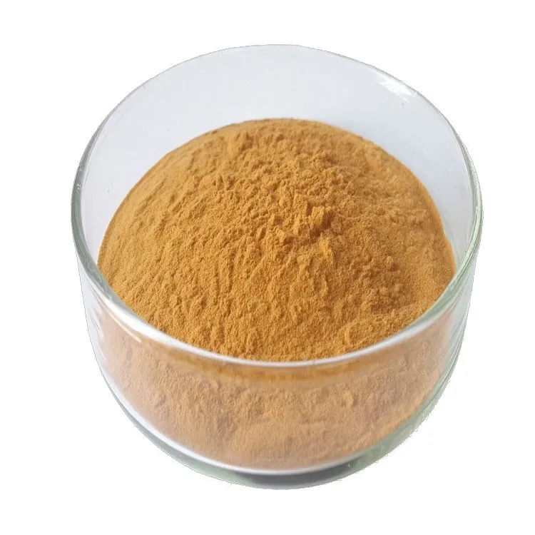 Health food additives 20%-98%   Rosemary Extract Powder Ursolic Acid cas Cas77-52-1