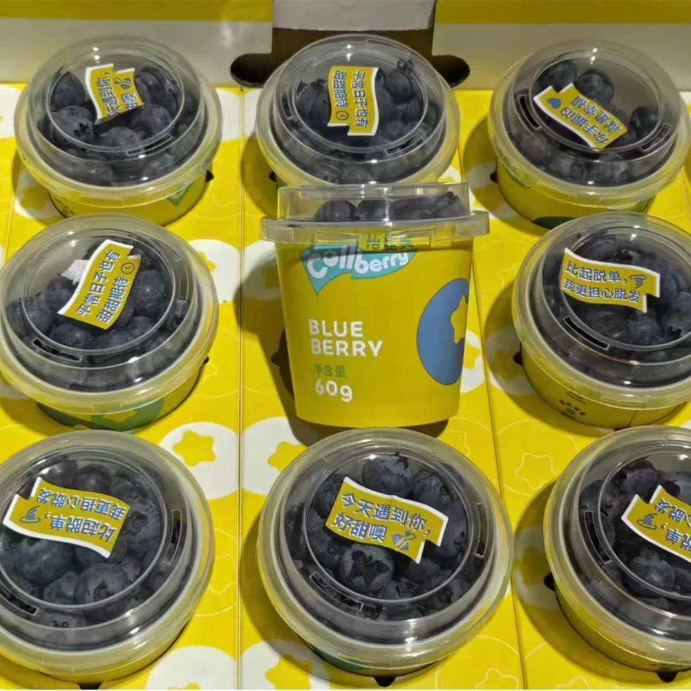 Yun Nan Cup Sweet Blueberry Fresh Fruit China  Price