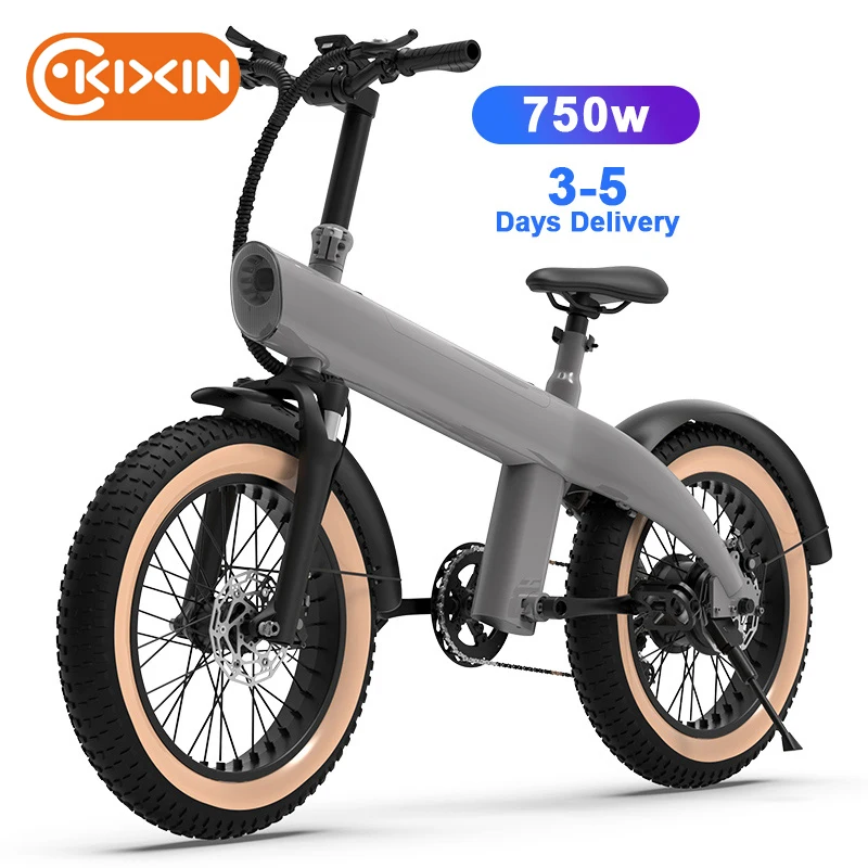 Original Q3 electric bicycle 750w 20 inch flat land mountain off load folding Fat tire Electric Hybrid Bike Bicicleta Electrica