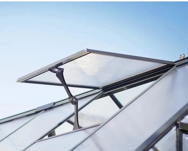 Backyard Green House Professional High Quality Aluminum PC Garden Greenhouse Different Sizes